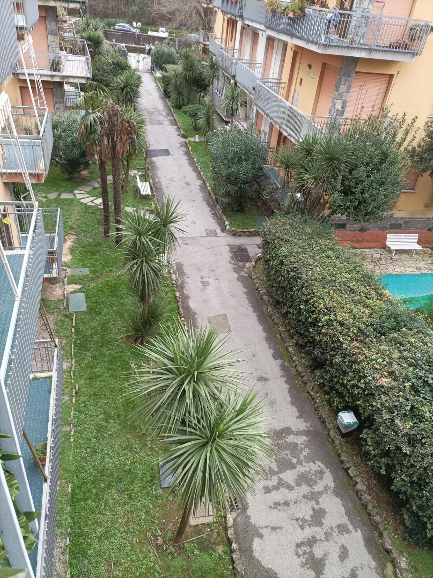 拉帕洛Casa Melly公寓 外观 照片